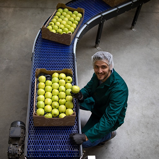 Productiemedewerker aan een sorteerlijn